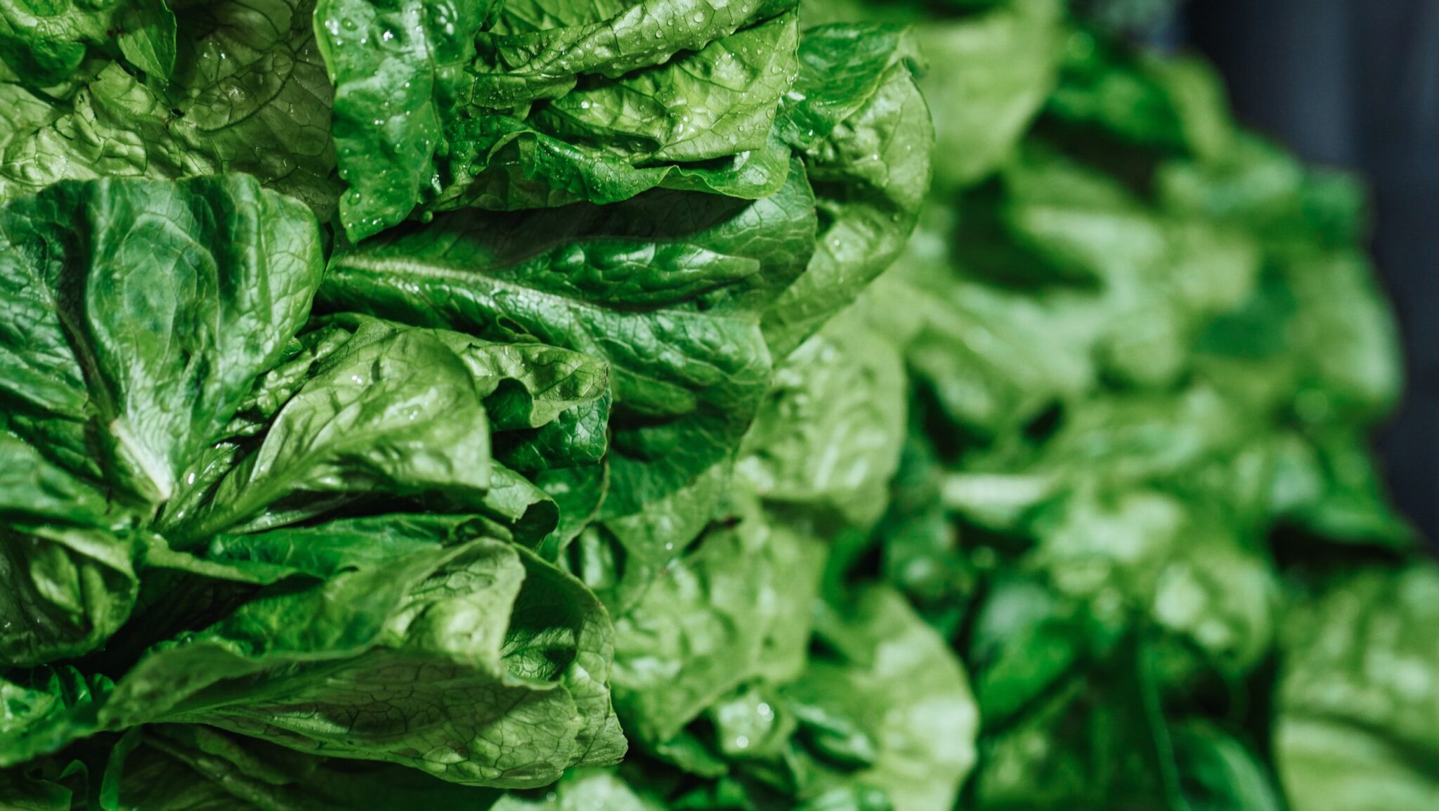 Does cooking vegetables affect mineral content? NutrInformation